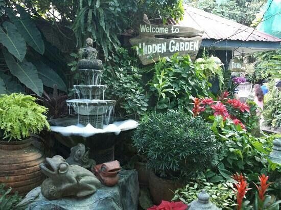 Hidden Garden